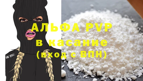 сатива Белокуриха