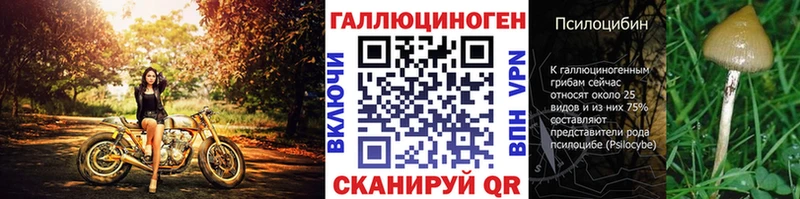 Галлюциногенные грибы GOLDEN TEACHER  как найти закладки  Болгар 