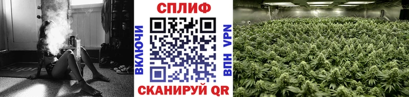 купить наркоту  Болгар  blacksprut ТОР  Канабис ГИДРОПОН 